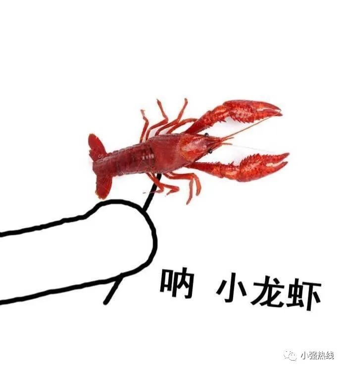 DƬ